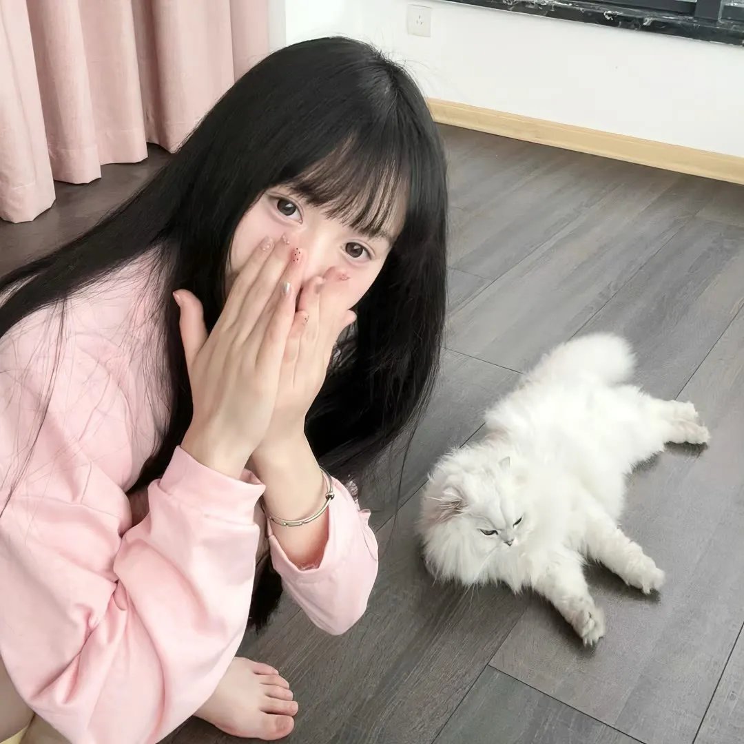 城市猎人天使之泪